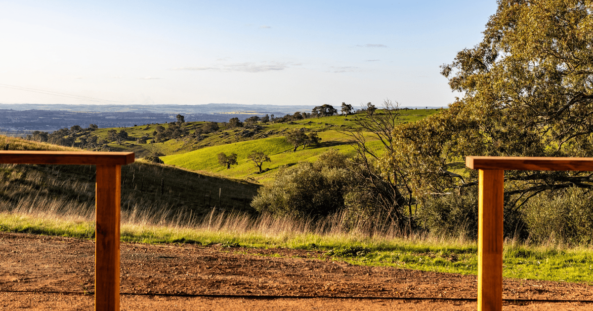 Looking out at the rolling hills